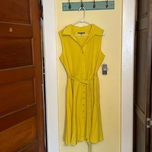 Super cute button down dress! Never worn! NWT!